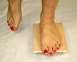 Balance on Ankle Board