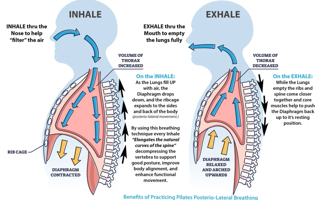 The Role of Pilates Posterio-Lateral Breathing to Improve Your Health